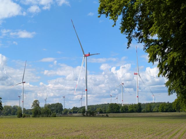 PXL_20250518_123431395.jpg